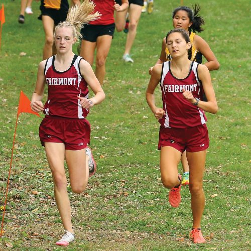 Five area runners gear up for state cross country meets | News, Sports ...